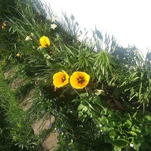 Meet your Posher, Debra